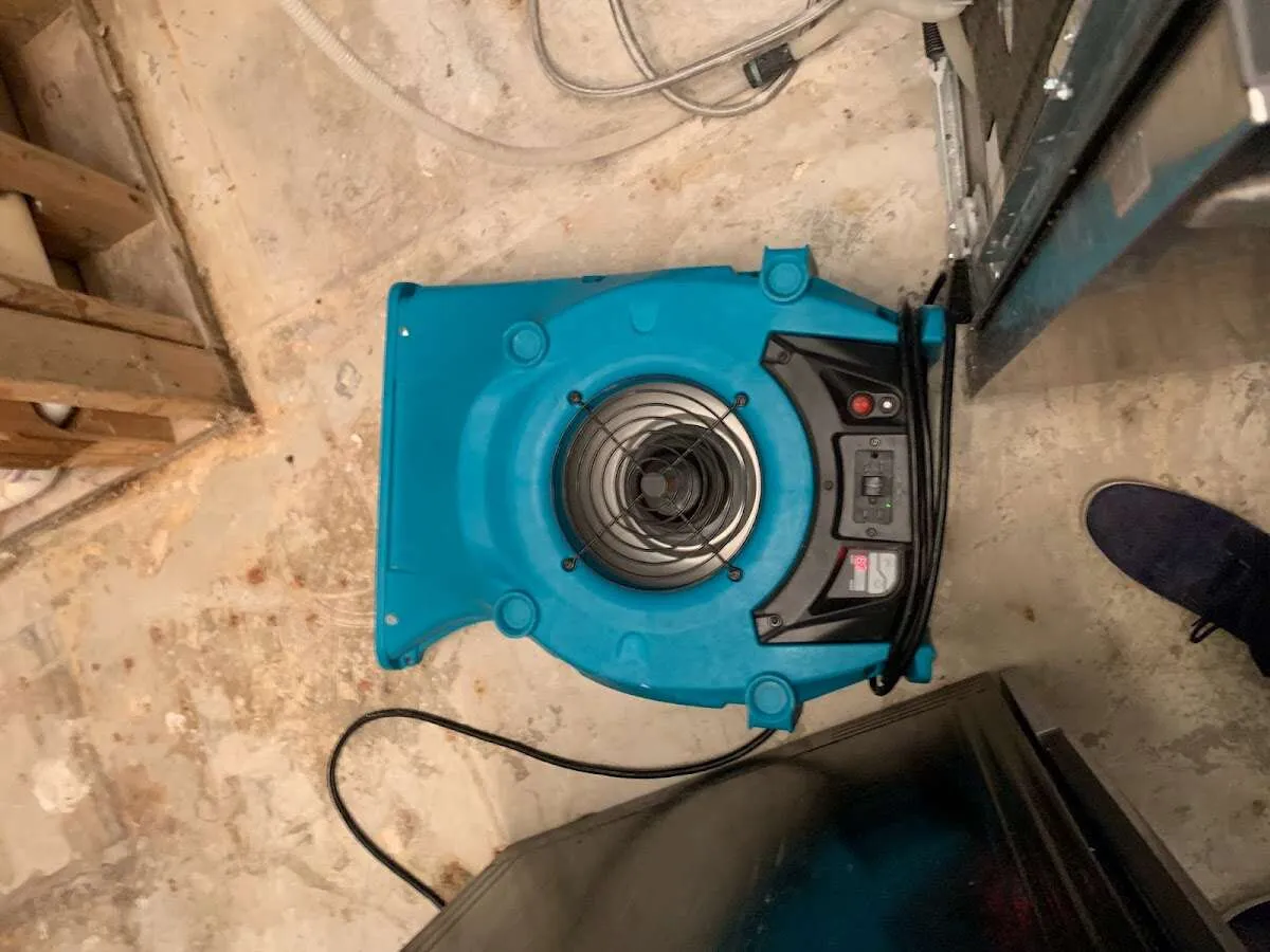 Air mover drying equipment for Mold Remediation & Removal in Little Elm